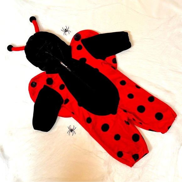 Miniwear Other - 🐞Miniwear Lady Bug/Bird Insect Romper Costume w/ Antennae & Elastic Cuffs 6 - 9